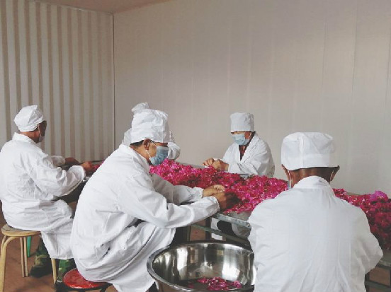 ManBetX(万博体育)APP官网|英超狼队和水晶宫全球赞助同伴