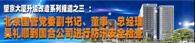 ManBetX(万博体育)APP官网|英超狼队和水晶宫全球赞助同伴