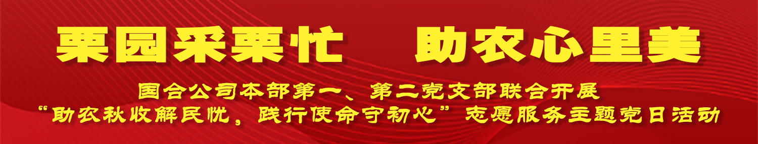 ManBetX(万博体育)APP官网|英超狼队和水晶宫全球赞助同伴