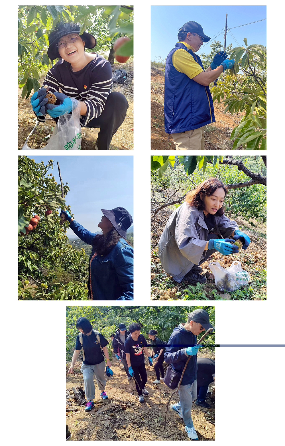 ManBetX(万博体育)APP官网|英超狼队和水晶宫全球赞助同伴